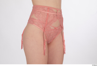 Lilly Bella garter belt hips lingerie pink panties underwear 0008.jpg